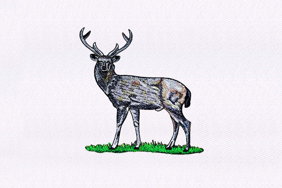 Evaluating the White Tailed Deer Design for Your Embroidery Shop