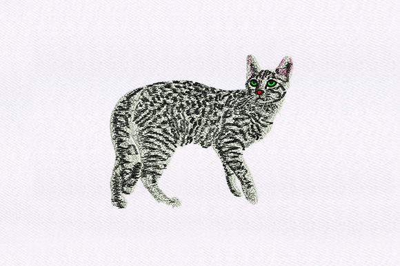 Reviewing the Black White Cat Design for Business Merchandise
